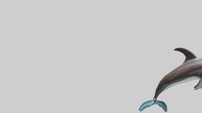Dusky Dolphin statue model VR / AR / low-poly