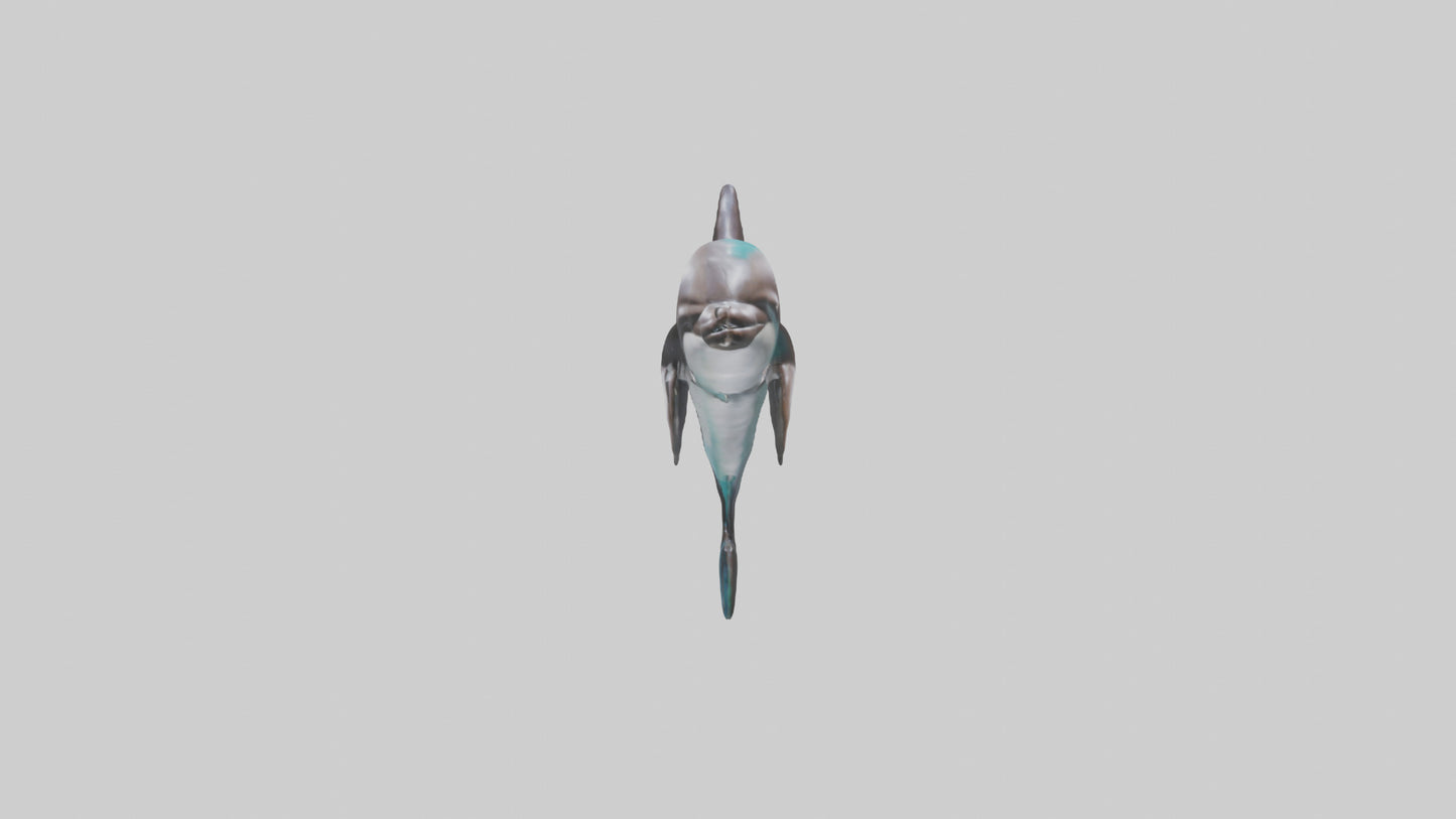Dusky Dolphin statue model VR / AR / low-poly