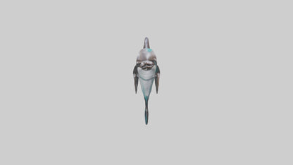 Dusky Dolphin statue model VR / AR / low-poly