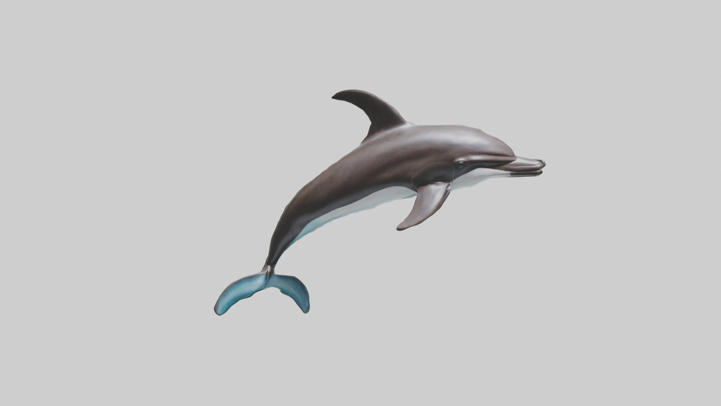 Dusky Dolphin statue model VR / AR / low-poly