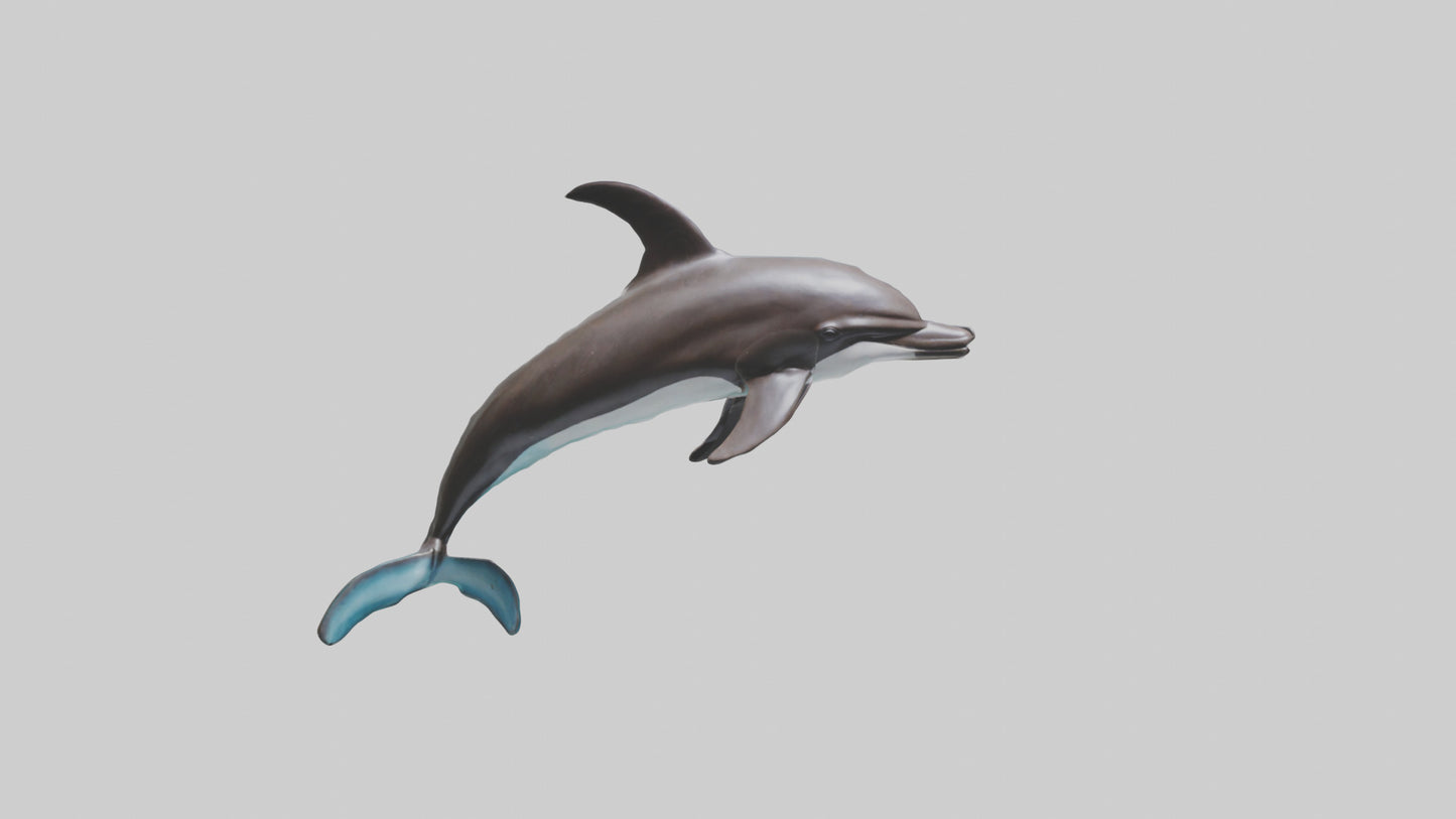 Dusky Dolphin statue model VR / AR / low-poly