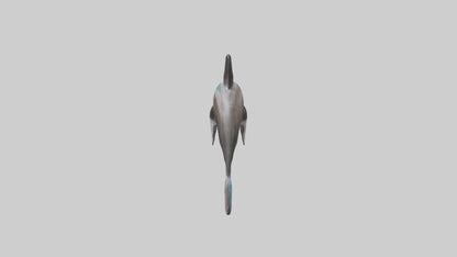 Dusky Dolphin statue model VR / AR / low-poly
