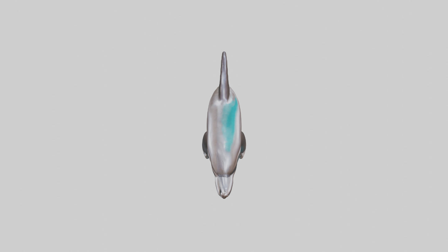 Dusky Dolphin statue model VR / AR / low-poly