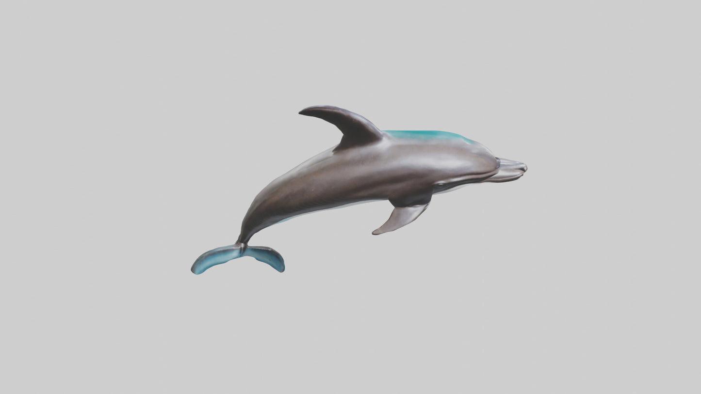 Dusky Dolphin statue model VR / AR / low-poly