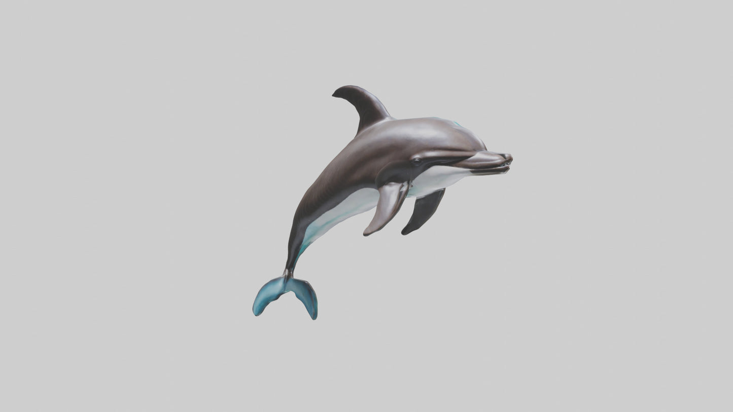 Dusky Dolphin statue model VR / AR / low-poly