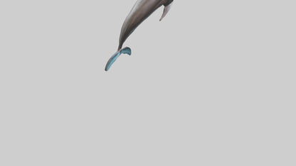 Dusky Dolphin statue model VR / AR / low-poly