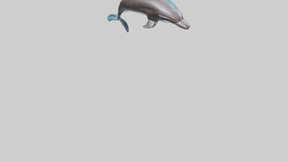 Dusky Dolphin statue model VR / AR / low-poly