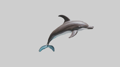 Dusky Dolphin statue model VR / AR / low-poly