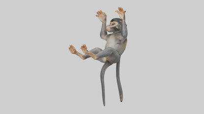 Dusky Leaf Monkey Model VR / AR / low-poly