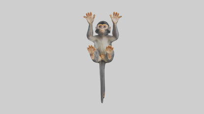 Dusky Leaf Monkey Model VR / AR / low-poly