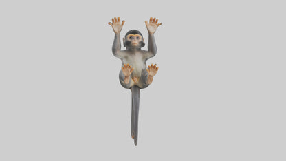 Dusky Leaf Monkey Model VR / AR / low-poly