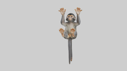 Dusky Leaf Monkey Model VR / AR / low-poly