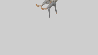 Dusky Leaf Monkey Model VR / AR / low-poly