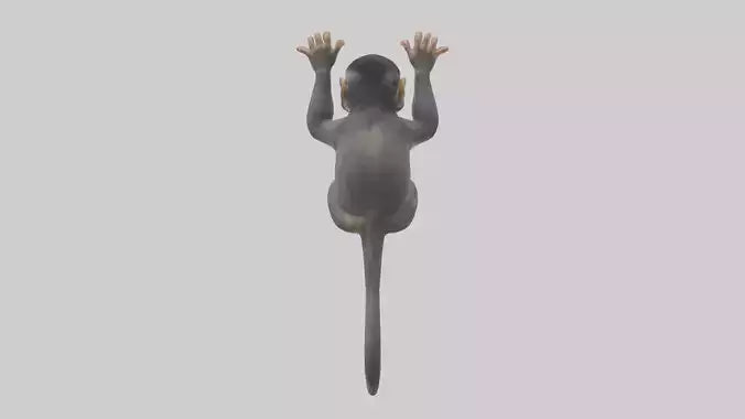 Dusky Leaf Monkey Model VR / AR / low-poly
