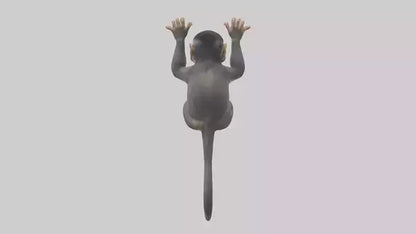 Dusky Leaf Monkey Model VR / AR / low-poly