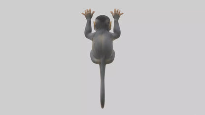 Dusky Leaf Monkey Model VR / AR / low-poly