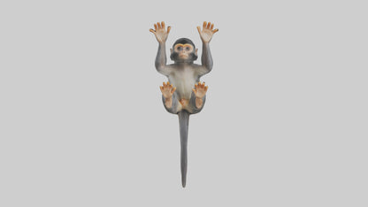Dusky Leaf Monkey Model VR / AR / low-poly