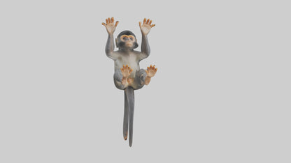 Dusky Leaf Monkey Model VR / AR / low-poly