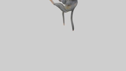 Dusky Leaf Monkey Model VR / AR / low-poly