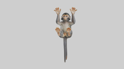 Dusky Leaf Monkey Model VR / AR / low-poly
