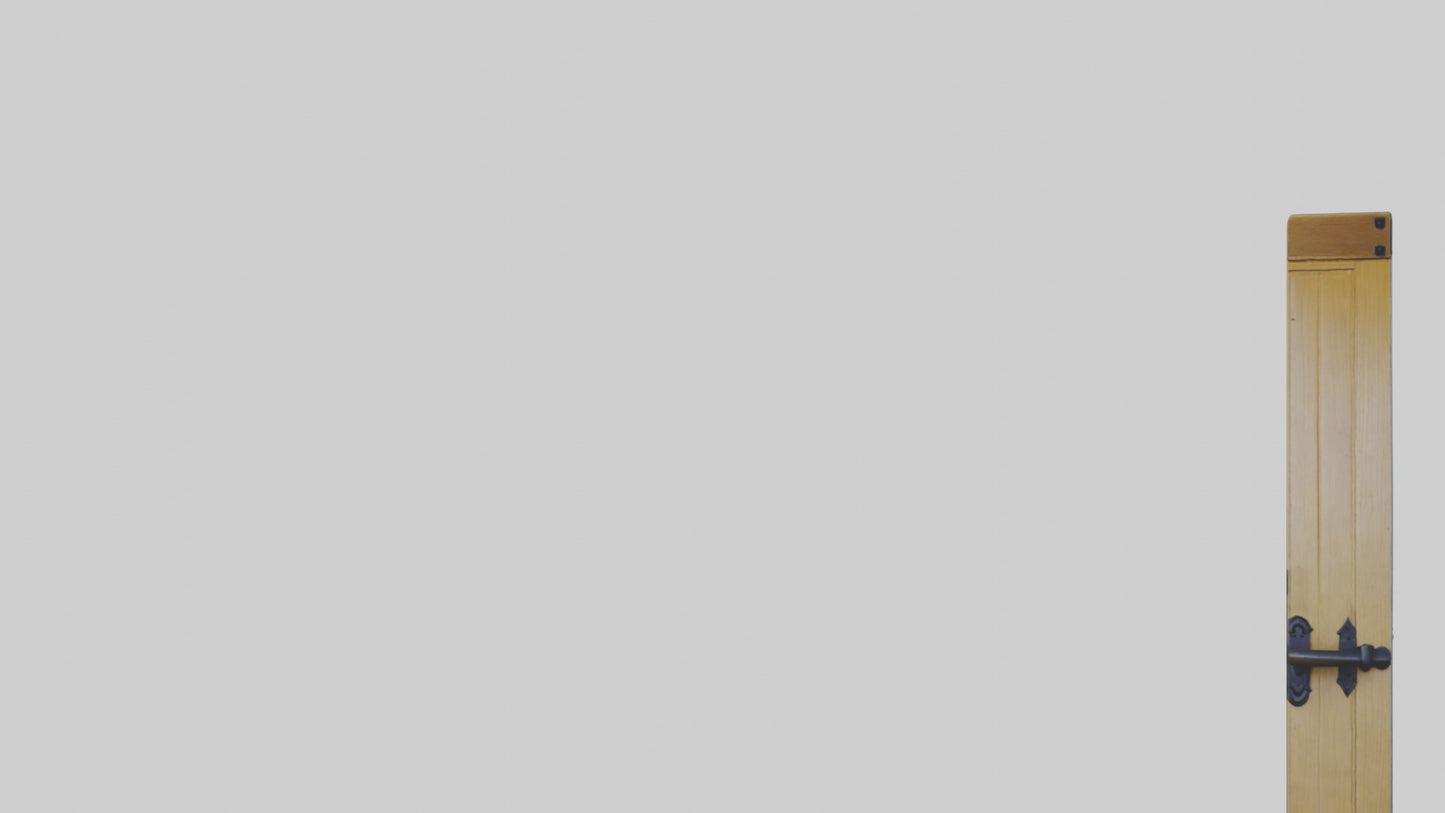 Dutch door model 2 3D model