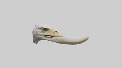 3D model Eagle Beak Bone VR / AR / low-poly