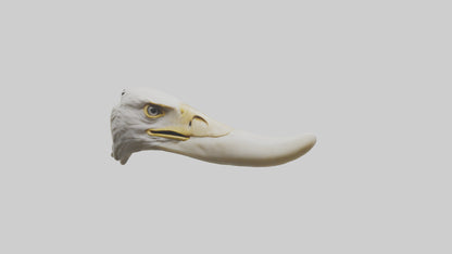 3D model Eagle Beak Bone VR / AR / low-poly
