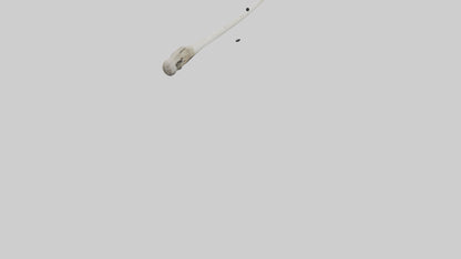 Eagle Femur 3D model