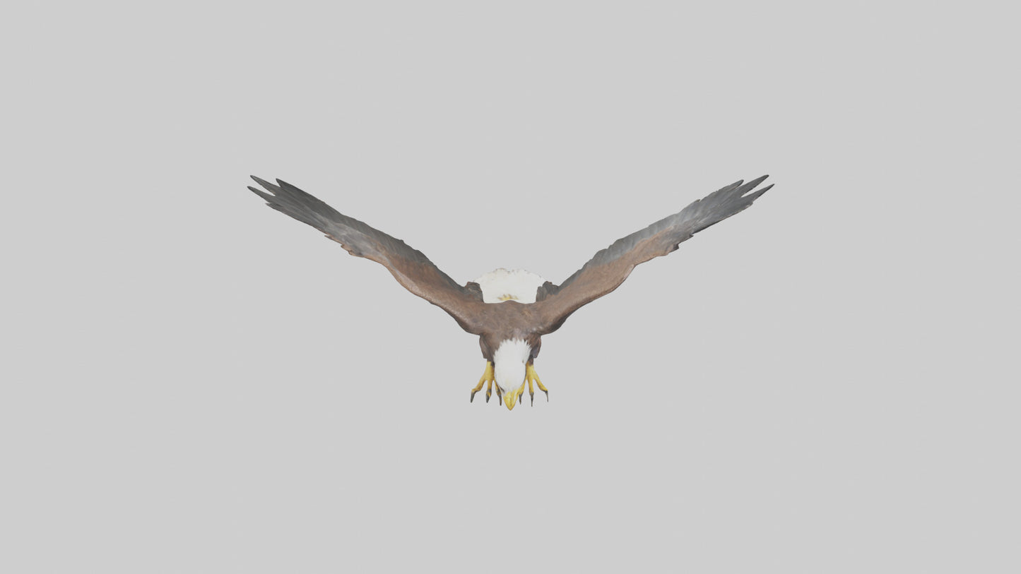 Eagle landing model 3D model