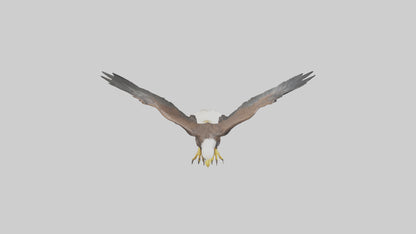 Eagle landing model 3D model