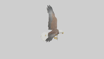 Eagle landing model 3D model