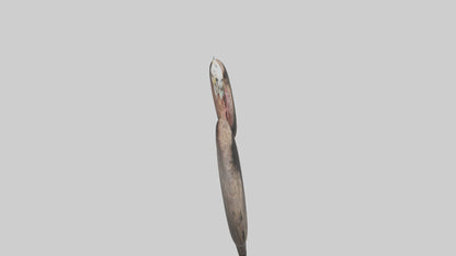 3D model Eagle Lungs VR / AR / low-poly