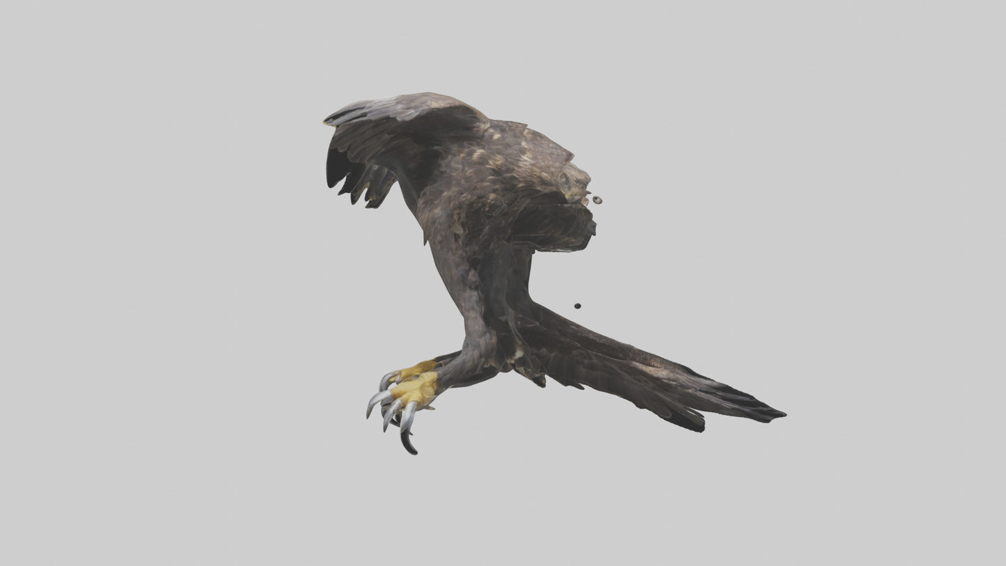 3D model Eagle Talons VR / AR / low-poly