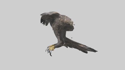 3D model Eagle Talons VR / AR / low-poly