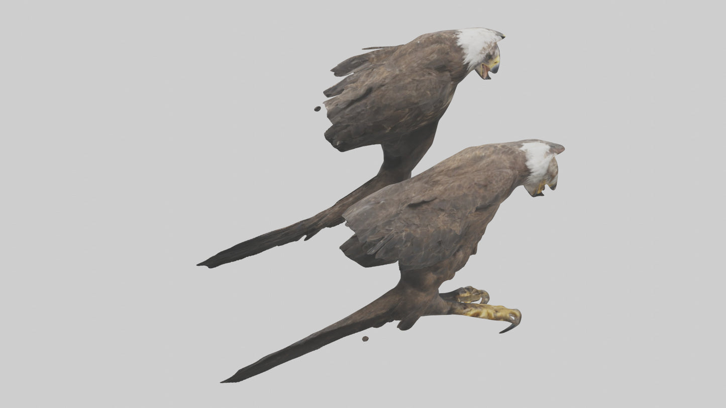 3D model Eagle Talons VR / AR / low-poly
