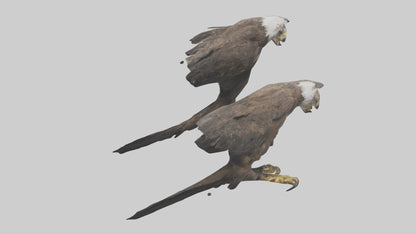 3D model Eagle Talons VR / AR / low-poly