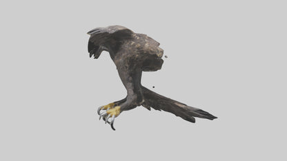3D model Eagle Talons VR / AR / low-poly