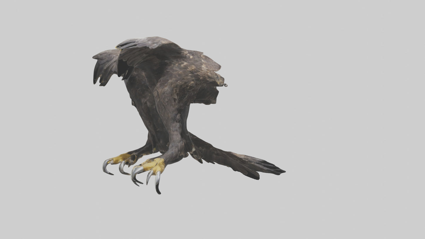 3D model Eagle Talons VR / AR / low-poly