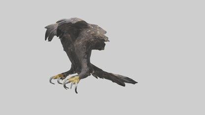 3D model Eagle Talons VR / AR / low-poly