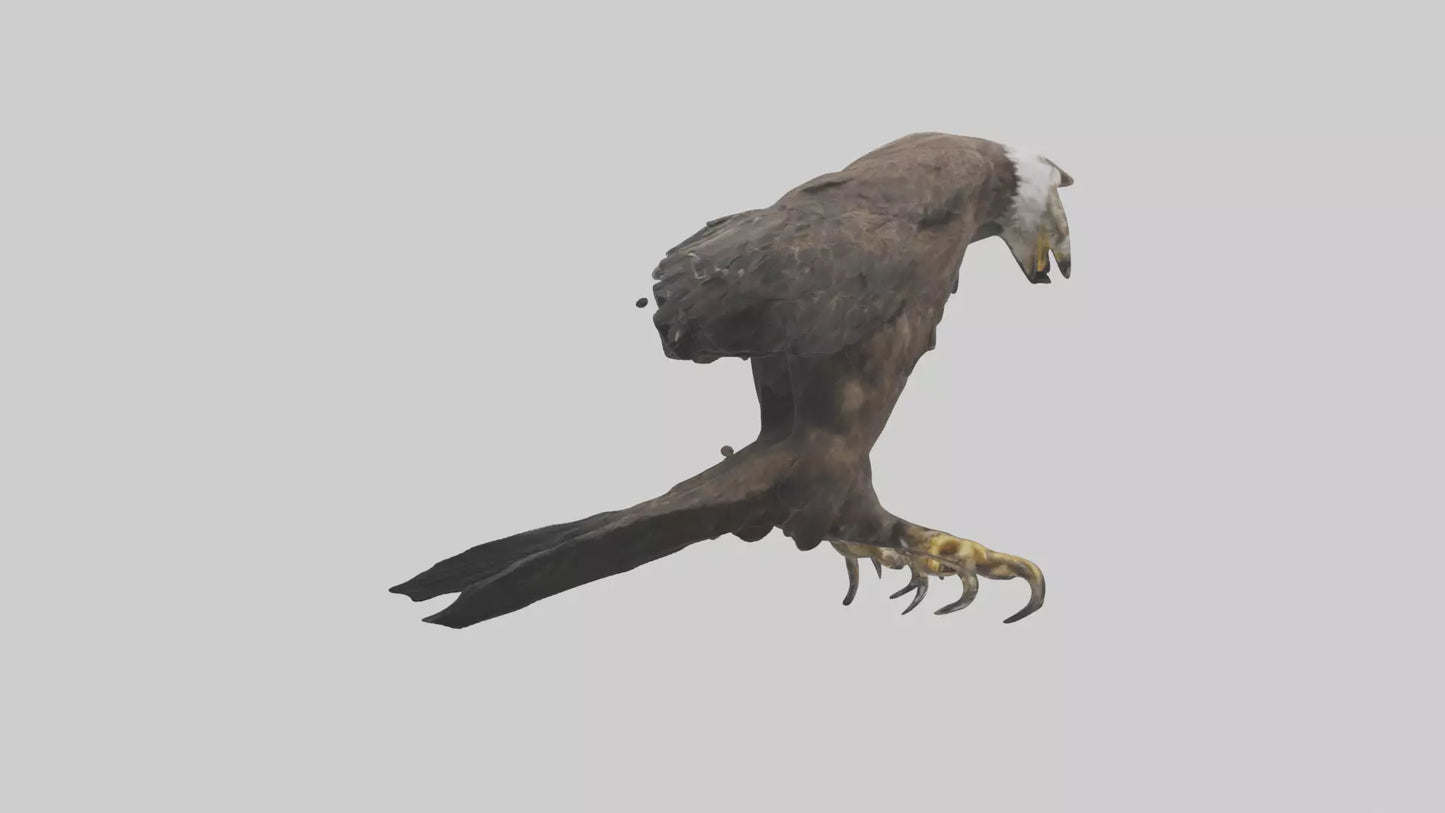 3D model Eagle Talons VR / AR / low-poly