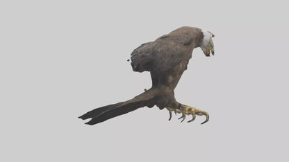 3D model Eagle Talons VR / AR / low-poly