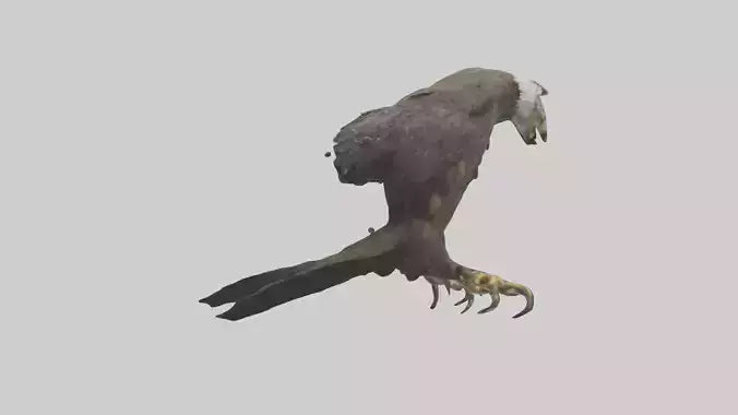 3D model Eagle Talons VR / AR / low-poly