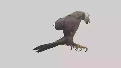 3D model Eagle Talons VR / AR / low-poly