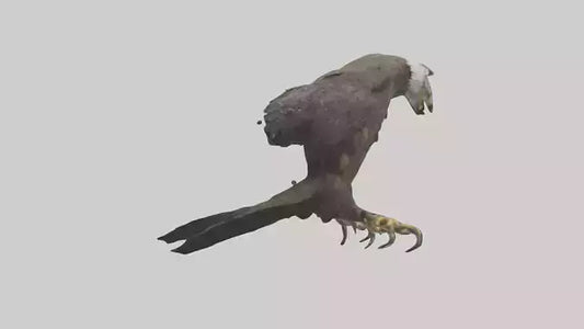 3D model Eagle Talons VR / AR / low-poly