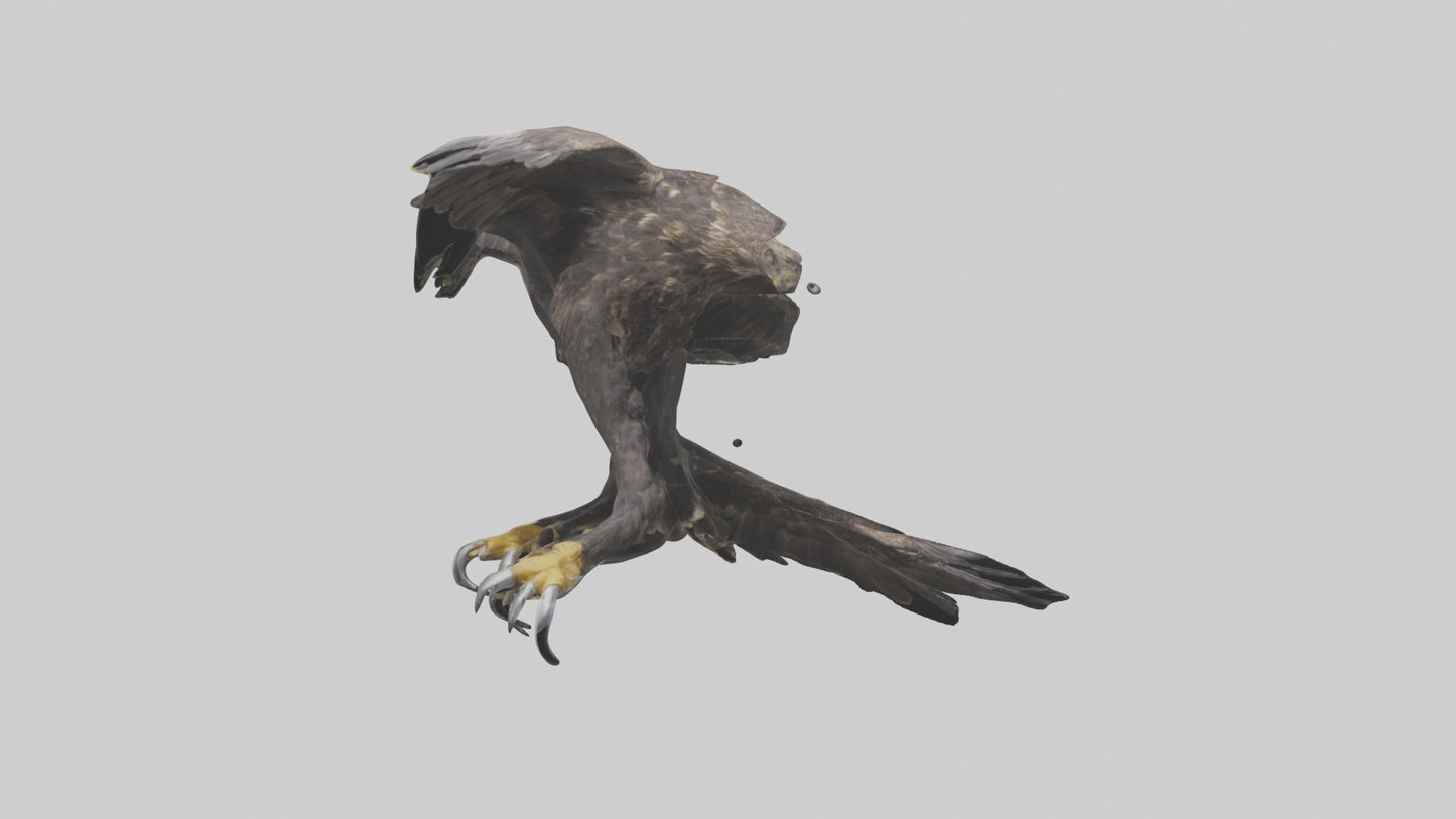 3D model Eagle Talons VR / AR / low-poly