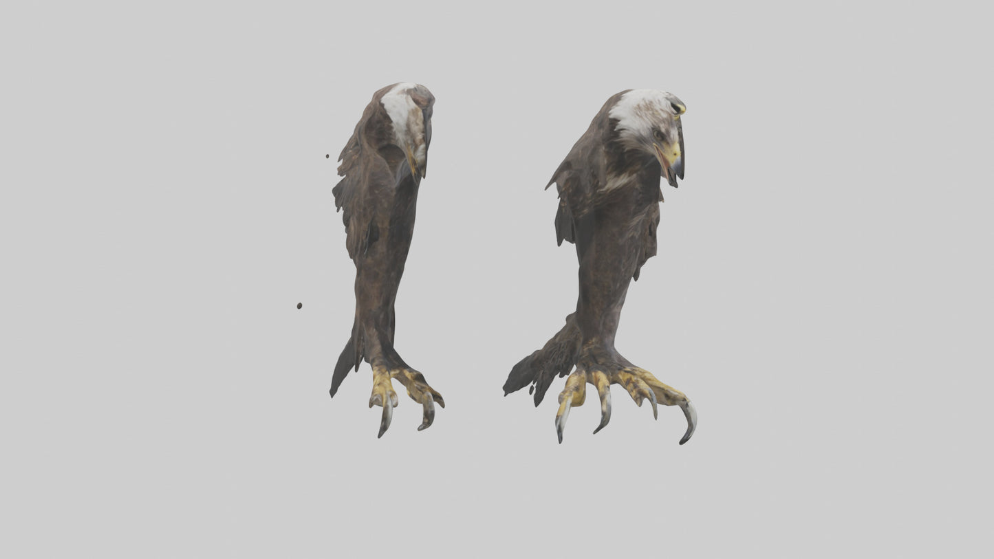3D model Eagle Talons VR / AR / low-poly
