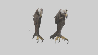 3D model Eagle Talons VR / AR / low-poly