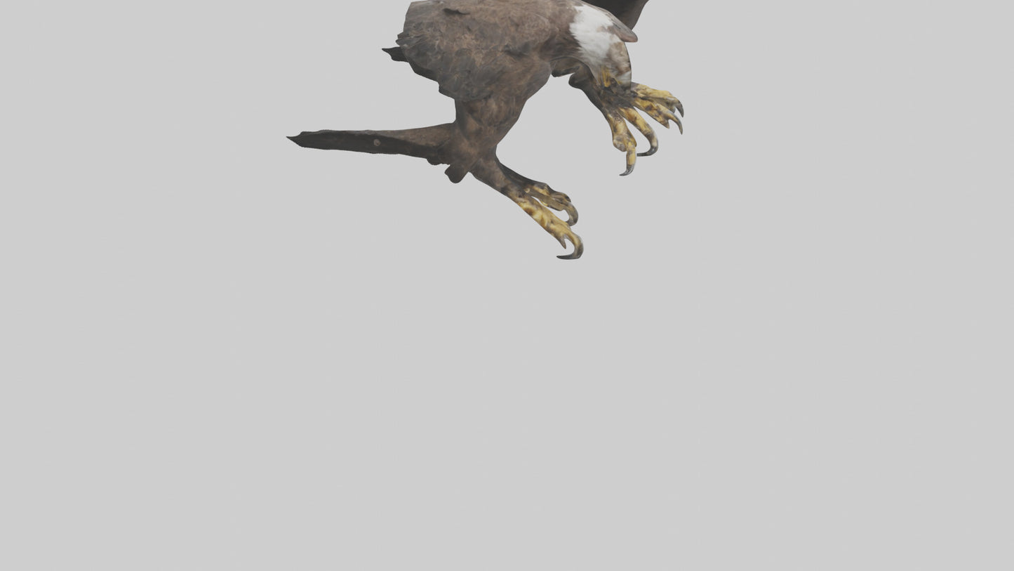 3D model Eagle Talons VR / AR / low-poly