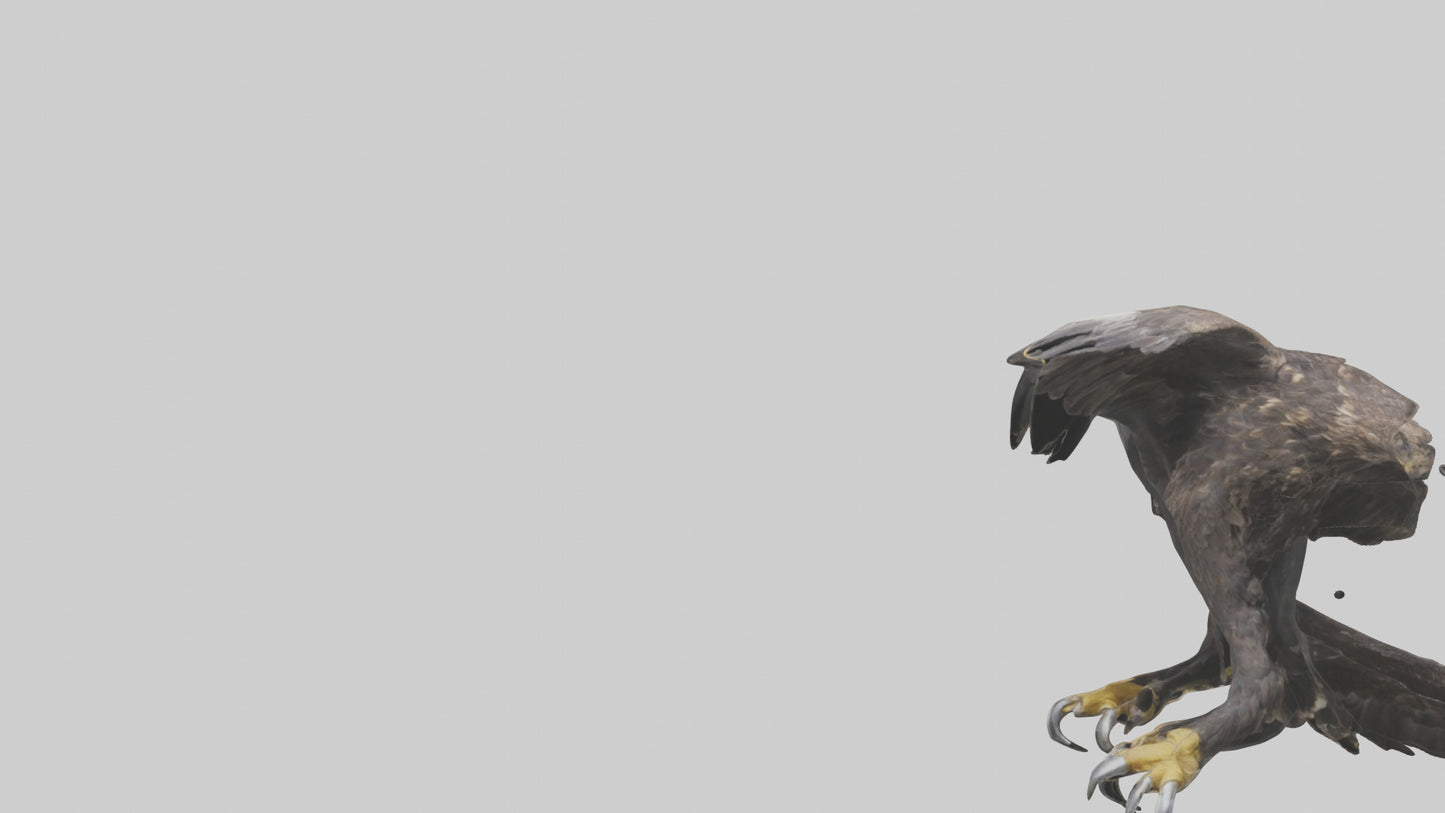 3D model Eagle Talons VR / AR / low-poly