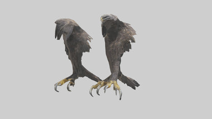 3D model Eagle Talons VR / AR / low-poly